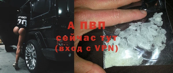 спиды Богородицк