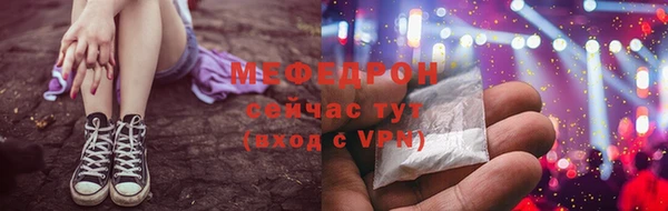 спиды Богородицк
