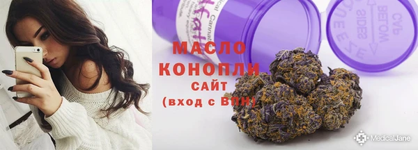 спиды Богородицк