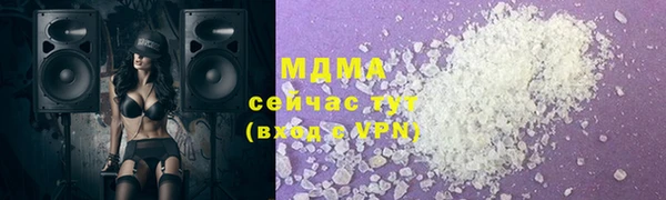 индика Богородск