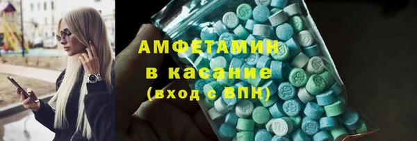 индика Богородск