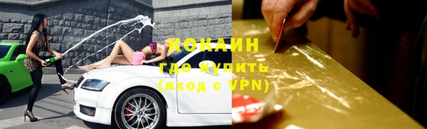 спиды Богородицк