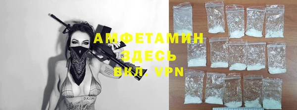 индика Богородск