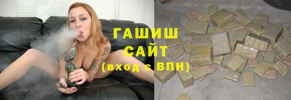 индика Богородск