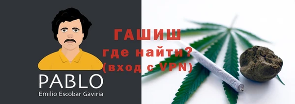 спиды Богородицк