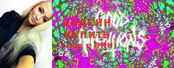 спиды Богородицк