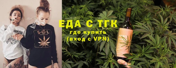 спиды Богородицк