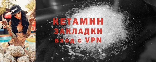 индика Богородск