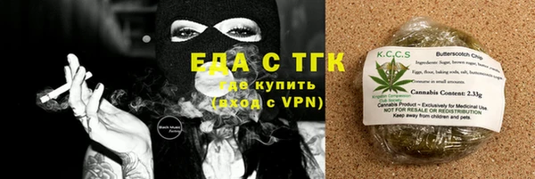индика Богородск
