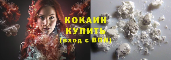 индика Богородск