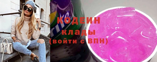 индика Богородск