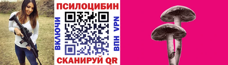 Псилоцибиновые грибы Psilocybe  Липецк 